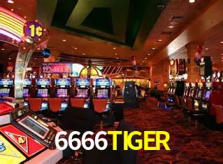 Explore as vantagens do 6666TIGER: serviço profissional e confiabilidade