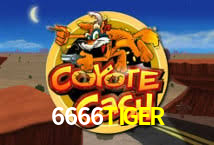 6666TIGER