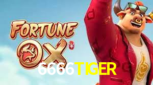 6666TIGER,6666TIGER.Com
